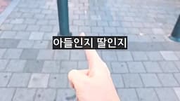 태아 성별 알기 법 시행