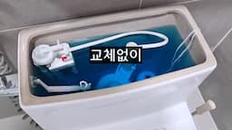 3개월 사용 가능한 변기 세정제