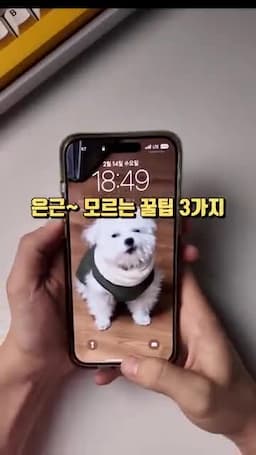 intro-아이폰 꿀팁의 중요성