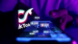 intro-Lynx와 ByteDance의 소개