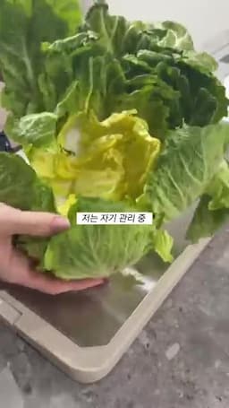 음식과 건강의 관계