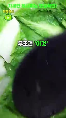 설탕의 역할과 중요성