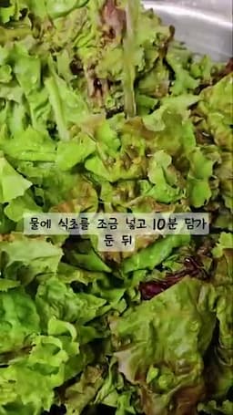 아삭함을 살리는 무침 요령