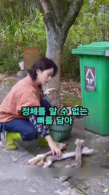 버려진 동물뼈로 만드는 돼지족발 요리 과정과 손질 포인트