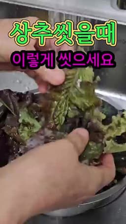 실전 체크리스트와 주의사항 확인할 항목과 행동 지침