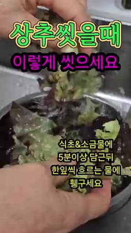 정리 및 다음 행동 권장 안전한 섭취를 위한 권장 흐름