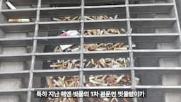 지난해 침수 사건의 재조명