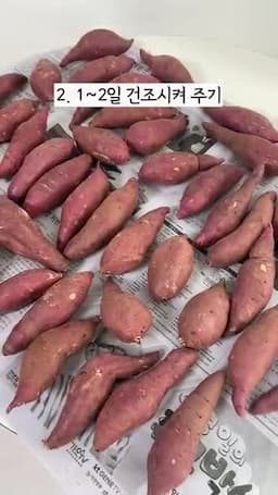 보관 상자의 설계 및 관리