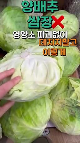 양배추를 위장 건강용으로 보는 이유