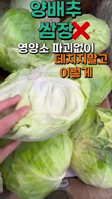 양배추를 위장 건강용으로 먹는 법: 영양소 손실 줄이고 소화 부담 낮추는 방법
