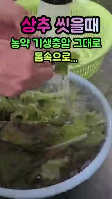 상추 씻는 법: 물에 담그지 않고 안전하게 세척하는 기본