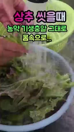 물에 담그는 방식이 좋지 않은 이유