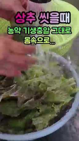 흐르는 물 세척만으로 끝내지 말아야 하는 이유