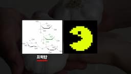 효소와 발효의 역할