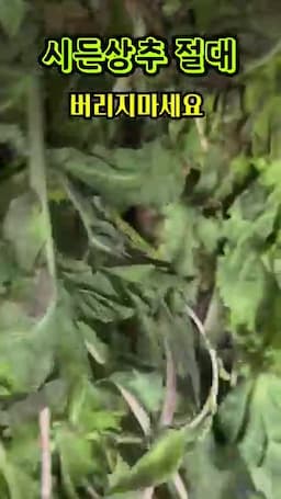 버리기 전에 먼저 확인할 점