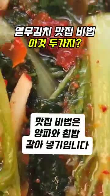 열무김치 맛집 비법 2가지: 양파와 흰밥으로 깊고 시원하게 담그는 법