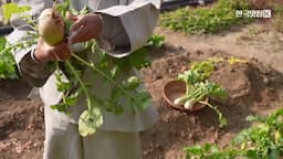 무에서 유를 찾다