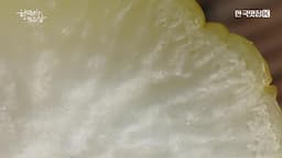 무와 가족의 기억