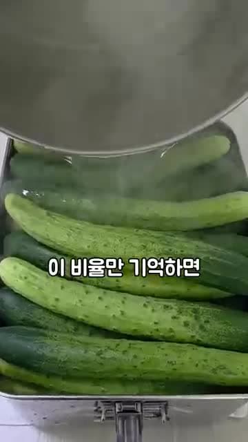 아삭한 오이지 황금비율 레시피: 오이 50개로 무르지 않게 담그는 법