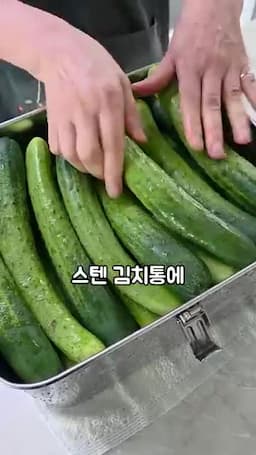끓인 소금물로 오이 담그기