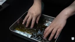 수육 만들기-보쌈 고기 조리법