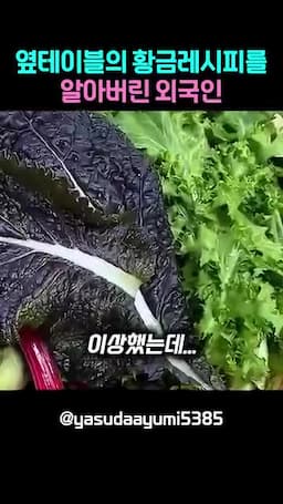김치찌개와 쌈을 처음 본 반응