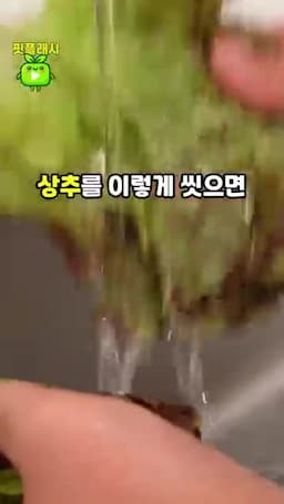 주의사항 오래 담그기·대충 헹구기 금지 및 영상의 경고