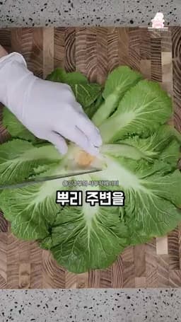 봄동의 준비 과정