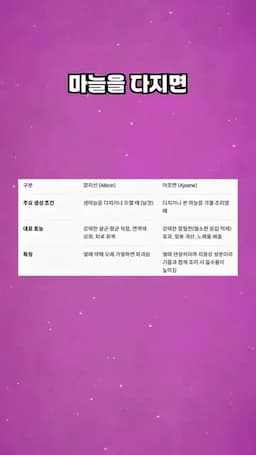 고소함과 감칠맛을 살리는 선택 포인트