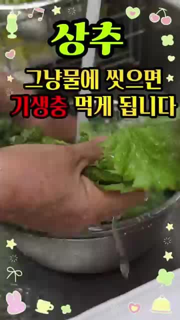 상추 세척 방법: 그냥 물에 씻지 말아야 하는 이유