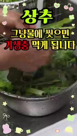 잎 사이에 남기 쉬운 오염 포인트