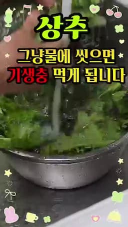 더 꼼꼼한 세척을 볼 때 기억할 점