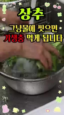 상추 세척 전후로 점검할 사항
