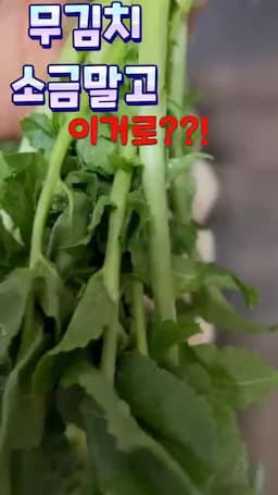 담글 때 기억할 주의점