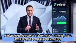 intro-팔란티어 주가 폭락의 배경