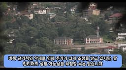 팔란티어의 장기 성장 가능성