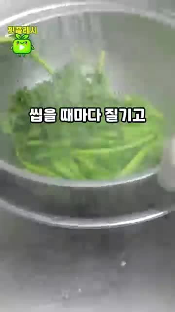 미나리 무침 아삭하게 데치는 법: 질기지 않게 식감과 향 살리는 방법