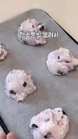 보관·해동과 꺼내 먹는 팁