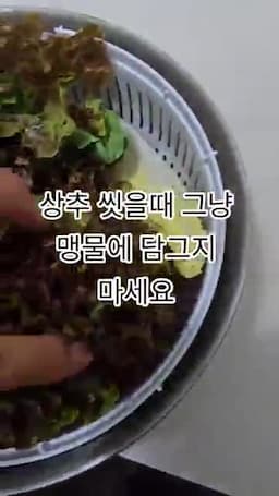 상추 세척에서 피해야 할 습관
