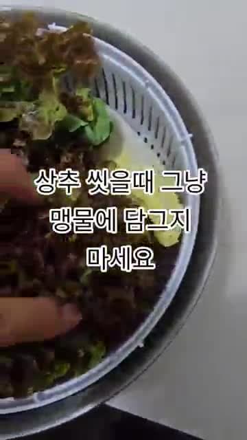 상추 씻는 법: 맹물에 담그지 말고 제대로 세척하는 방법