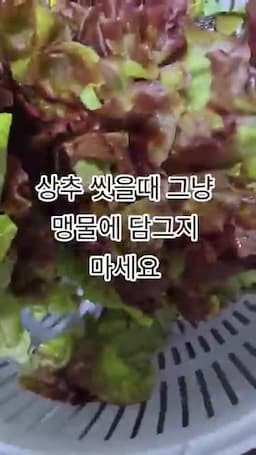 흐르는 물만으로 씻을 때 놓치기 쉬운 점