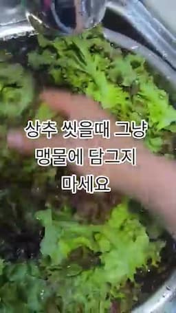 상추를 더 안전하게 씻기 위한 핵심 포인트