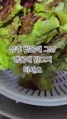 세척할 때 기억할 주의사항
