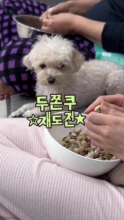 intro-두바이의 특별한 디저트 소개