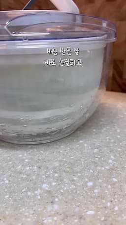 샐러드 준비 및 보관 방법