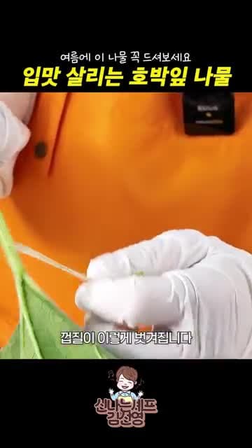 호박잎 나물 무침 레시피: 손질, 데치기, 양념 비율까지 한 번에