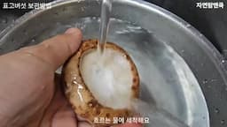 생 표고버섯의 세척과 보관법