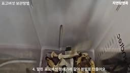 건조 표고버섯 만들기와 활용법