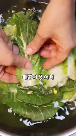 봄동 재료와 세척 방법