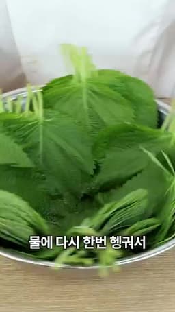 깻잎 손질과 물기 제거